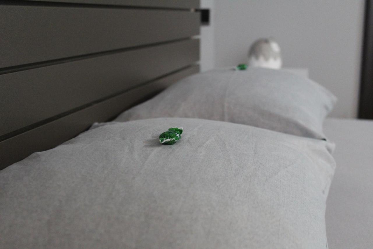 Apartman Daca 波德戈里察 外观 照片